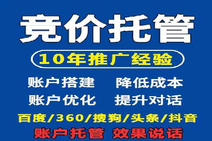 百度推广运营实战：成功案例解析